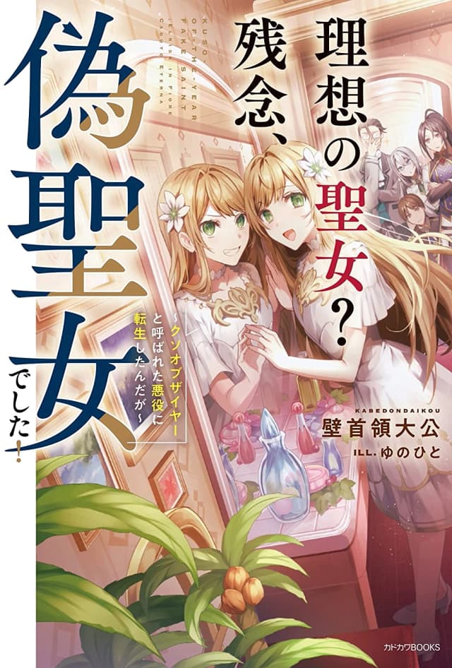 Novel Cover